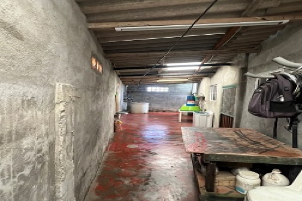 WhatsApp Image 2025-08-20 at 4.31.20 PM.jpeg